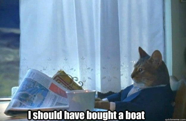 I should have bought a boat  Sophisticated Cat is broke