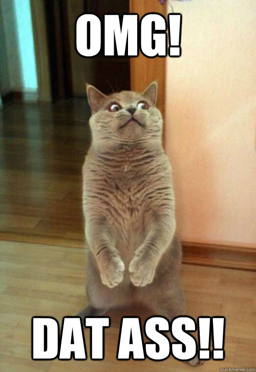 OMG! DAT ASS!!  Horrorcat