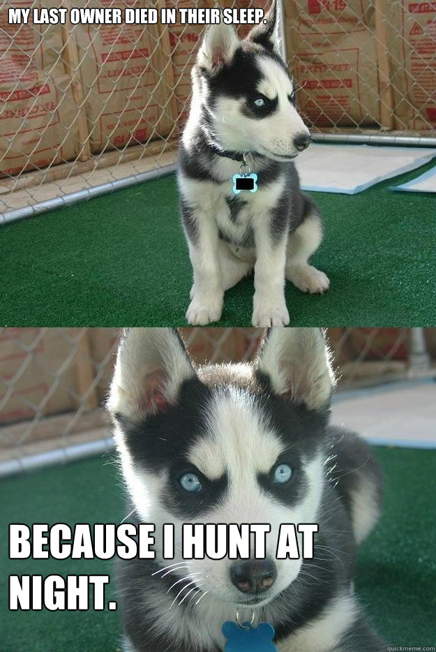 my last owner died in their sleep. because i hunt at night.  Insanity puppy