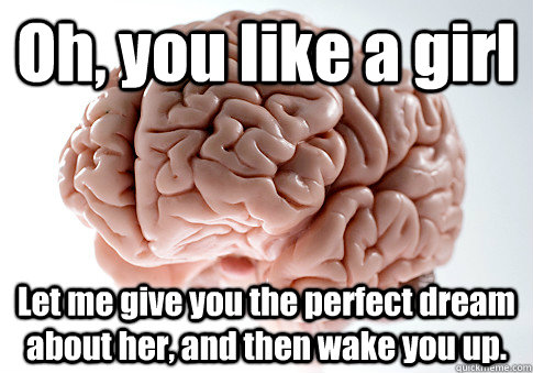 Oh, you like a girl Let me give you the perfect dream about her, and then wake you up.   Scumbag Brain
