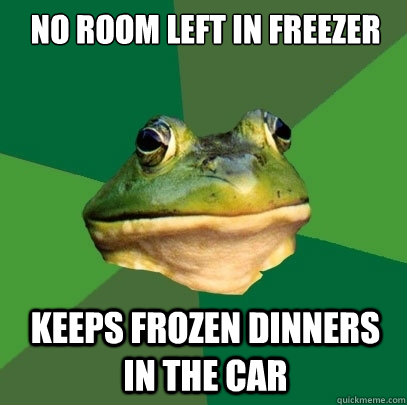 no room left in freezer keeps frozen dinners in the car  Foul Bachelor Frog