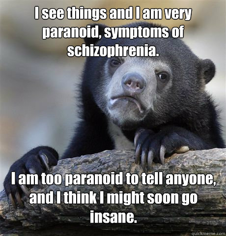 I see things and I am very paranoid, symptoms of schizophrenia. I am too paranoid to tell anyone, and I think I might soon go insane.  - I see things and I am very paranoid, symptoms of schizophrenia. I am too paranoid to tell anyone, and I think I might soon go insane.   Confession Bear