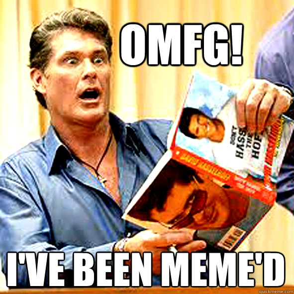 OMFG! I've been meme'd  Hassel The Hoff