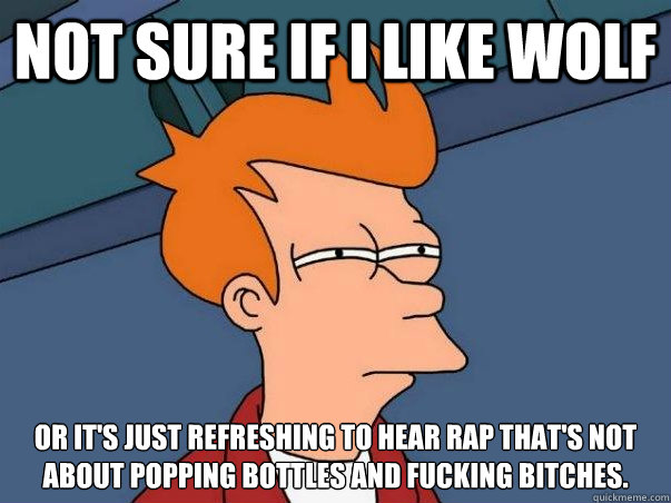 Not sure if i like wolf Or it's just refreshing to hear rap that's not about popping bottles and fucking bitches.  Not sure Fry