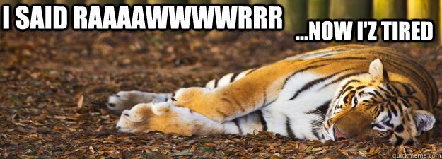I said RAAAAWWWWRRR ...Now I'z tired  Tiger sleeping meme