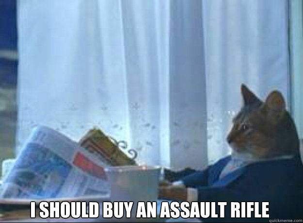 i should buy an assault rifle   I should buy a boat cat