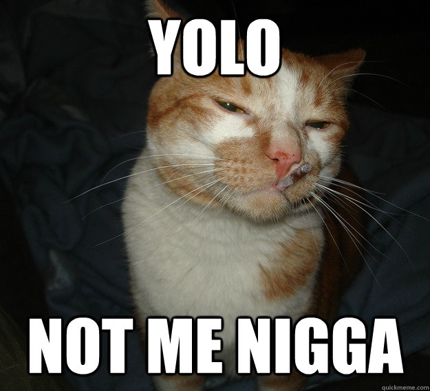 YOLO not me nigga  Cool Cat Craig