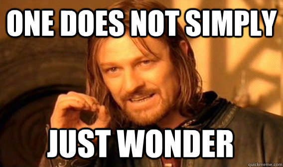 ONE DOES NOT SIMPLY JUST WONDER  One Does Not Simply