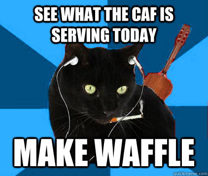 See what the caf is serving today make waffle  Socially Awkward Berklee Cat