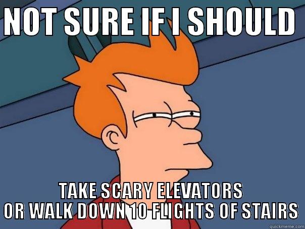 NOT SURE IF I SHOULD  TAKE SCARY ELEVATORS OR WALK DOWN 10 FLIGHTS OF STAIRS Futurama Fry