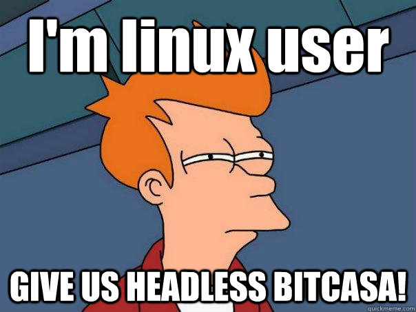 I'm linux user GIVE US HEADLESS BITCASA!  Futurama Fry