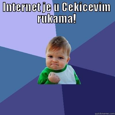 INTERNET JE U CEKICEVIM RUKAMA!  Success Kid