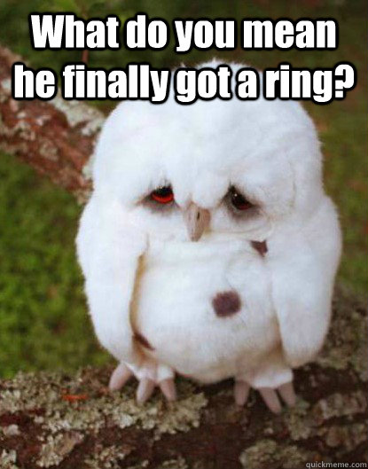 What do you mean he finally got a ring?                                                                                                                                   - What do you mean he finally got a ring?                                                                                                                                    Depressed Baby Owl