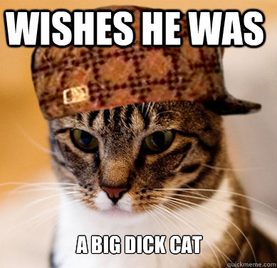wishes he was A big dick cat  Scumbag Cat