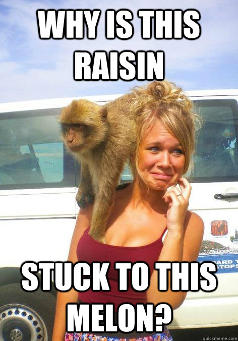 why is this raisin stuck to this melon?  Smart Monkey