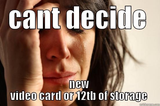 CANT DECIDE NEW VIDEO CARD OR 12TB OF STORAGE First World Problems