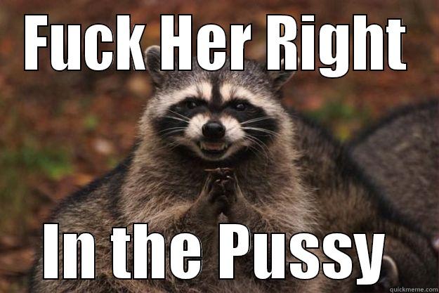 Fuck Her Right In The Pussy - FUCK HER RIGHT IN THE PUSSY Evil Plotting Raccoon