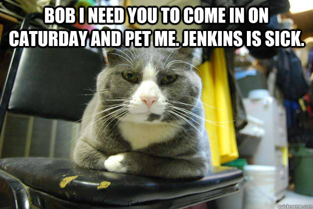 Bob I need you to come in on Caturday and pet me. Jenkins is sick.  - Bob I need you to come in on Caturday and pet me. Jenkins is sick.   Serious Business Cat
