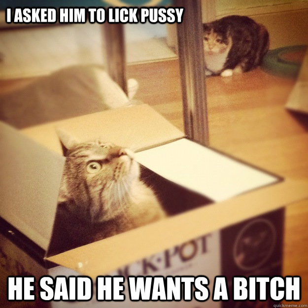I asked him to lick pussy he said he wants a bitch  Cats wife