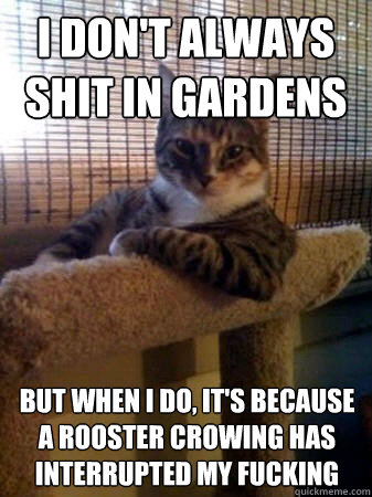 I don't always Shit in gardens but when I do, it's because a rooster crowing has interrupted my fucking  The Most Interesting Cat in the World