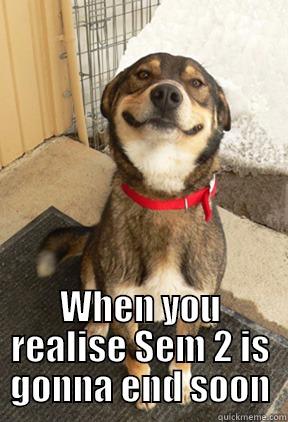  WHEN YOU REALISE SEM 2 IS GONNA END SOON Good Dog Greg