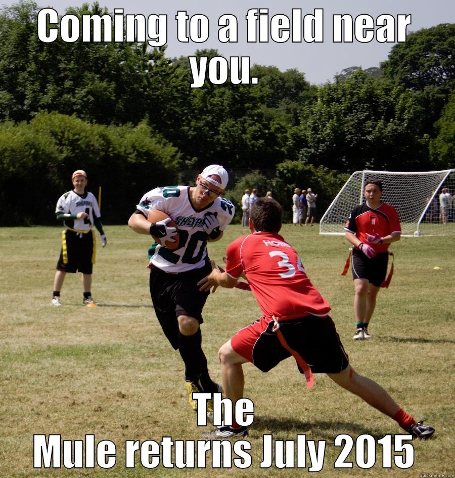 COMING TO A FIELD NEAR YOU. THE MULE RETURNS JULY 2015 Misc