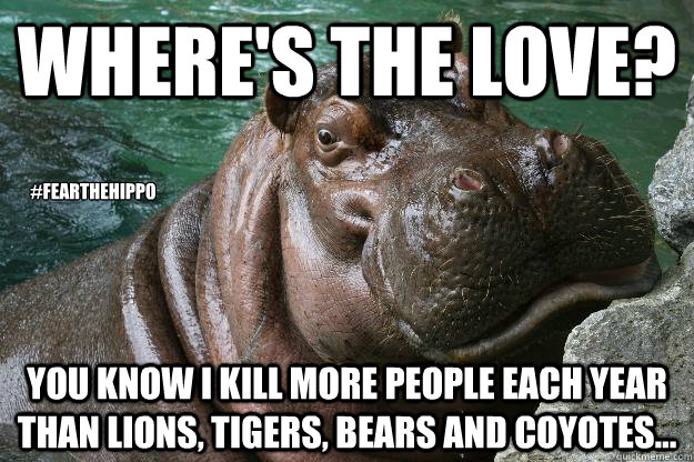 Where's the Love? You know I kill more people each year than lions, tigers, bears and coyotes...  #FeartheHippo - Where's the Love? You know I kill more people each year than lions, tigers, bears and coyotes...  #FeartheHippo  Hungry Hippo