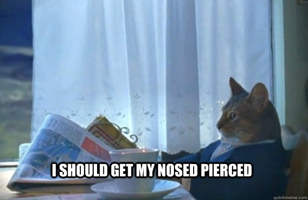 I should get my nosed pierced - I should get my nosed pierced  Sophisticated Cat