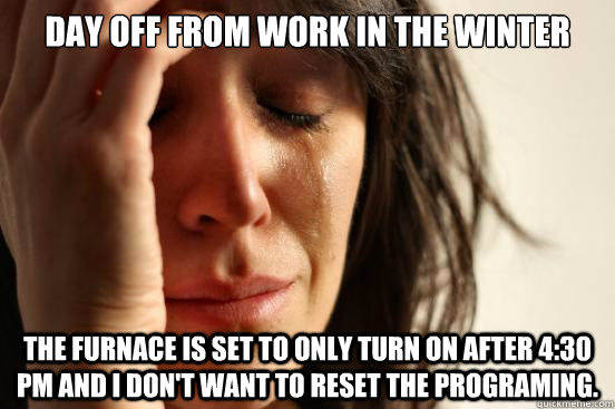 Day off from work in the winter The furnace is set to only turn on after 4:30 PM and I don't want to reset the programing.  First World Problems