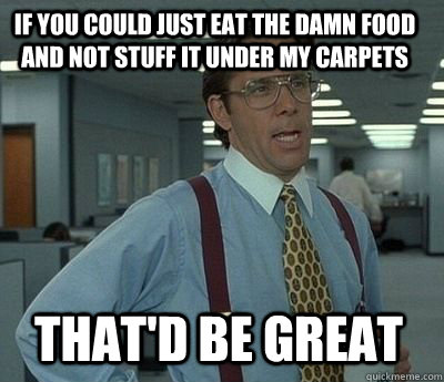 If you could just eat the damn food and not stuff it under my carpets That'd be great - If you could just eat the damn food and not stuff it under my carpets That'd be great  Bill Lumbergh