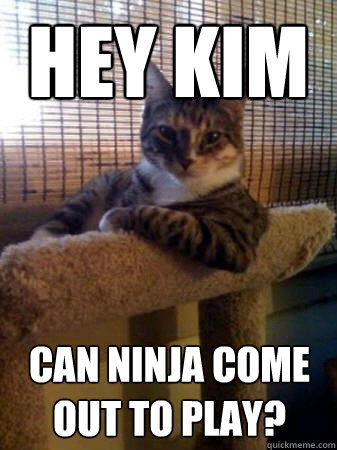 hey kim can ninja come out to play?  The Most Interesting Cat in the World