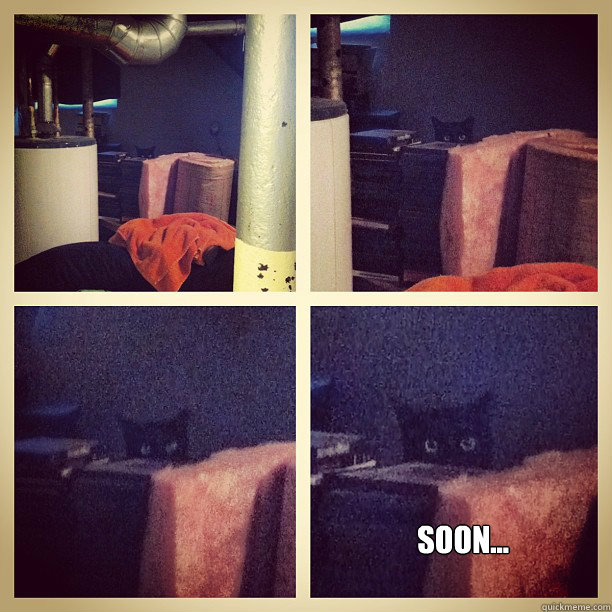  Soon... -  Soon...  Soon Cat