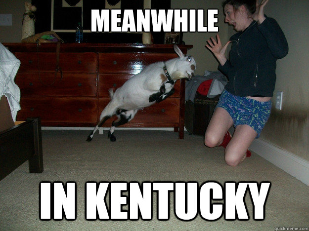 Meanwhile In Kentucky Meanwhile In Kentucky