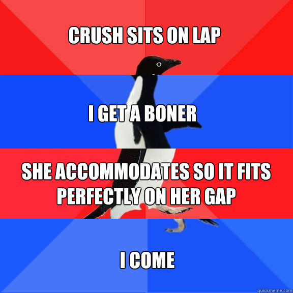 CRUSH SITS ON LAP I GET A BONER SHE ACCOMMODATES SO IT FITS PERFECTLY ON HER GAP I COME - CRUSH SITS ON LAP I GET A BONER SHE ACCOMMODATES SO IT FITS PERFECTLY ON HER GAP I COME  Socially Awesome Awkward Awesome Awkward Penguin