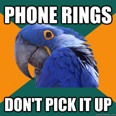 phone rings don't pick it up  Paranoid Parrot