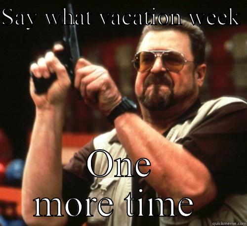 SAY WHAT VACATION WEEK  ONE MORE TIME  Am I The Only One Around Here