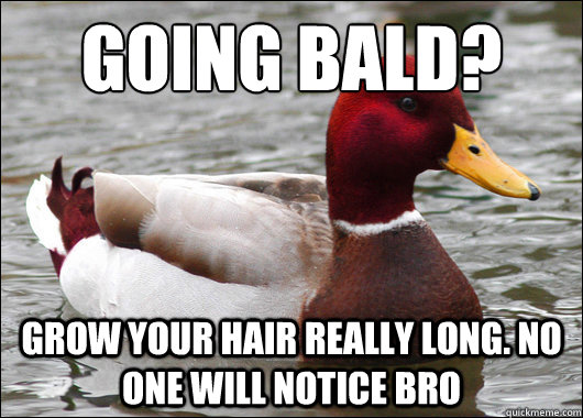 Going bald?
 Grow your hair really long. no one will notice bro  Malicious Advice Mallard
