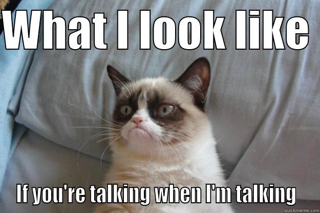 A teacher's life - WHAT I LOOK LIKE  IF YOU'RE TALKING WHEN I'M TALKING  Grumpy Cat