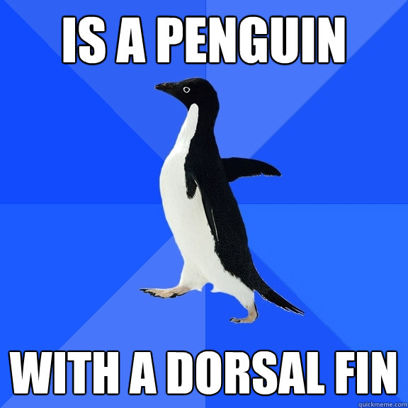 is a penguin with a dorsal fin  Socially Awkward Penguin