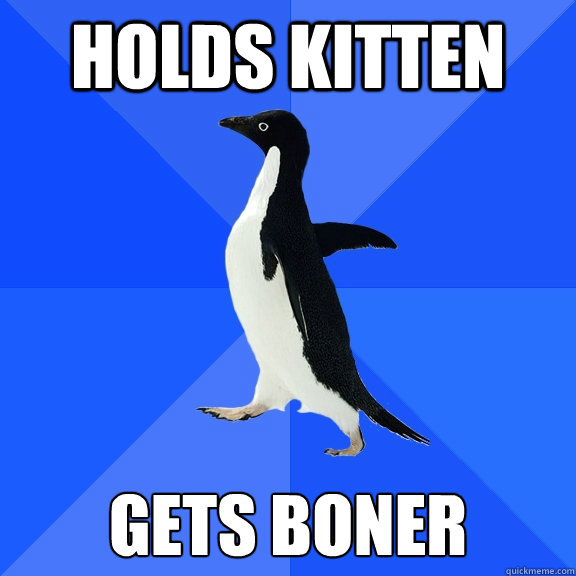 holds kitten gets boner  Socially Awkward Penguin