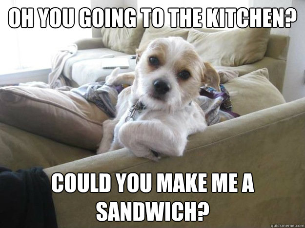 Oh You Going to the Kitchen? Could you make me a Sandwich?  