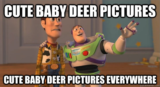 cute baby deer pictures cute baby deer pictures everywhere  Toy Story Everywhere