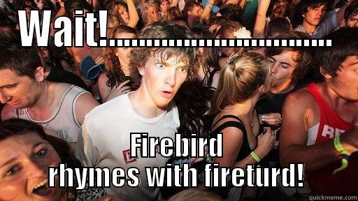 WAIT!.............................. FIREBIRD RHYMES WITH FIRETURD! Sudden Clarity Clarence