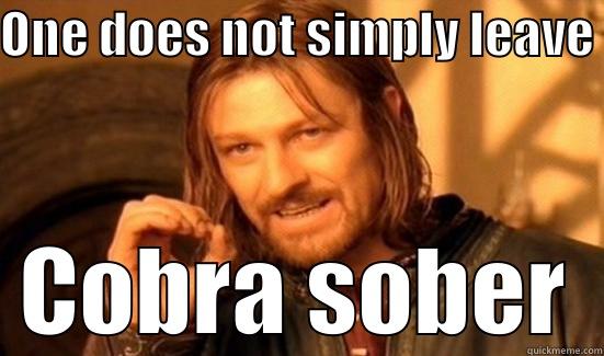 ONE DOES NOT SIMPLY LEAVE COBRA SOBER Boromir