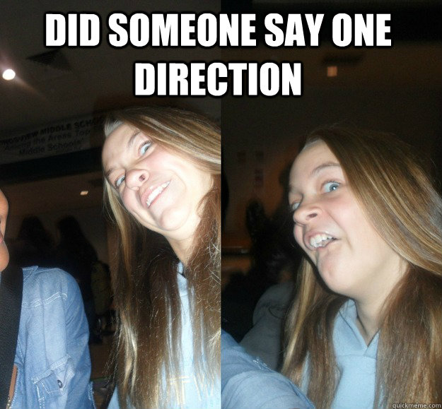 DID SOMEONE SAY ONE DIRECTION   fANGIRL