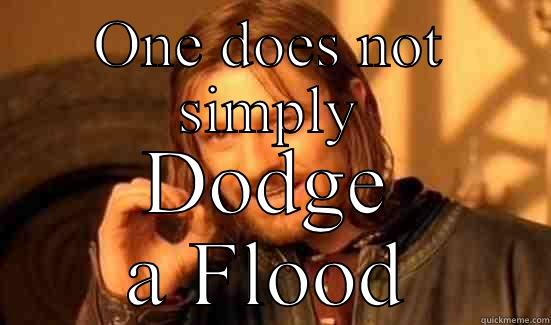 ONE DOES NOT SIMPLY DODGE A FLOOD Boromir