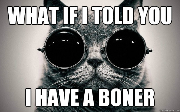 What if i told you I have a boner - What if i told you I have a boner  Morpheus Cat Facts