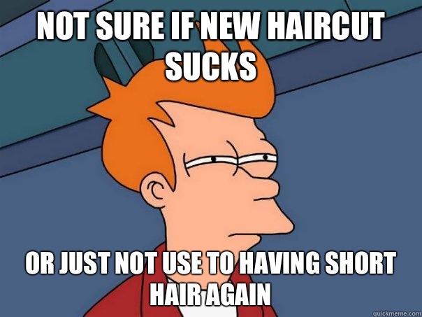 Not sure if New Haircut Sucks Or Just not use to having short hair again - Not sure if New Haircut Sucks Or Just not use to having short hair again  Futurama Fry