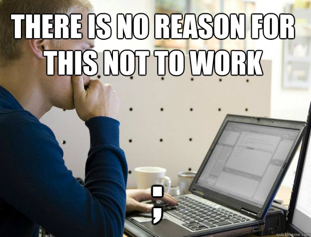 THERE IS NO REASON FOR
THIS NOT TO WORK ;  Programmer