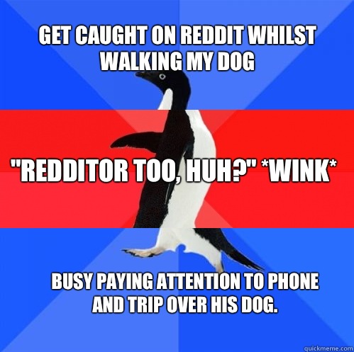 Get caught on Reddit whilst walking my dog 